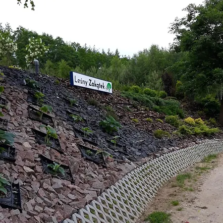 Lesny Zakatek- Lipa Parchowo