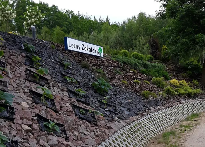 Lesny Zakatek- Lipa Parchowo